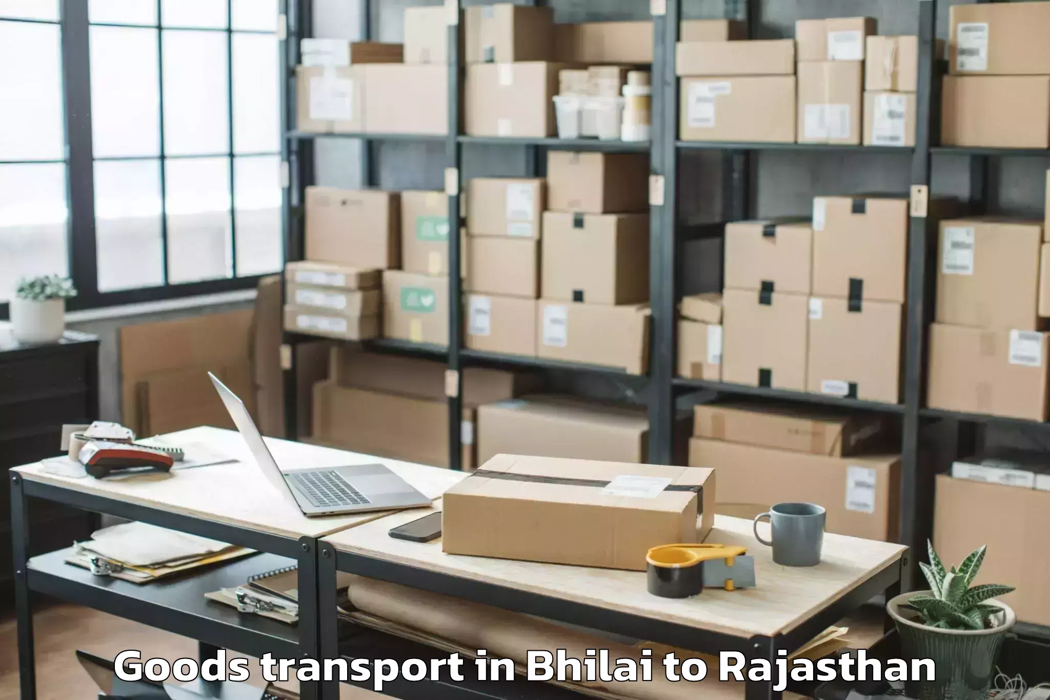 Top Bhilai to Deogarh Rajsamand Goods Transport Available